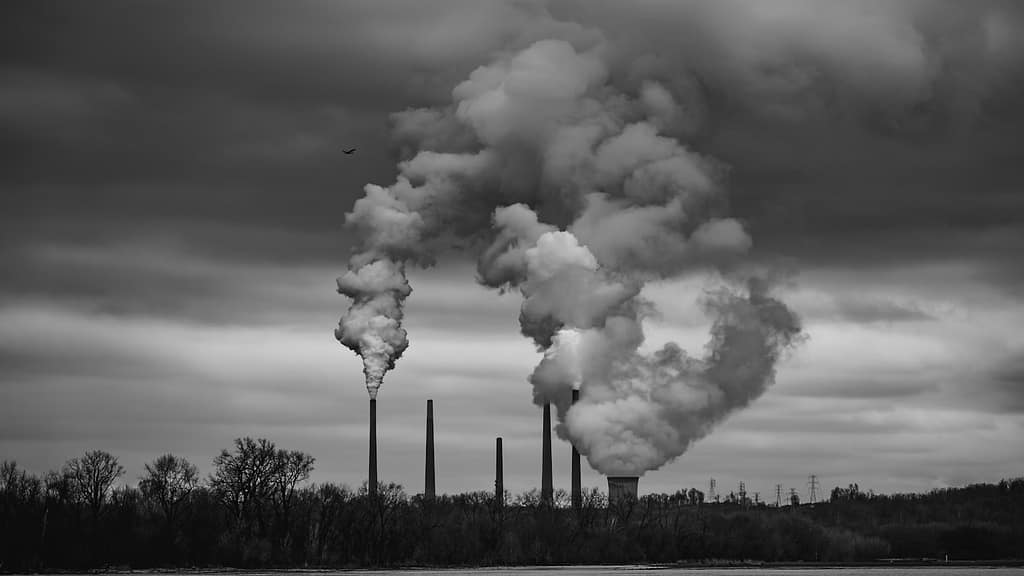 Smoke from factory stacks into the atmosphere. Can Environmental Toxins Make You Gain Weight?