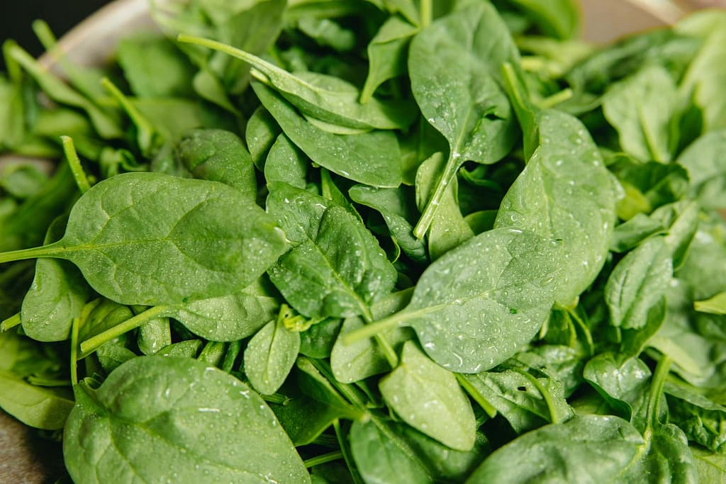 Close-up of fresh spinach leaves with water droplets, highlighting their vibrant green color and freshness. High Blood Pressure Medications Alternatives You Should Know