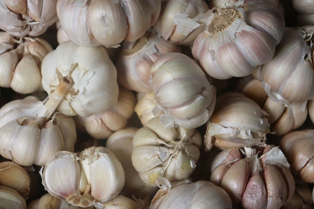 garlic lot on black surface-High Blood Pressure Medications Alternatives You Should Know