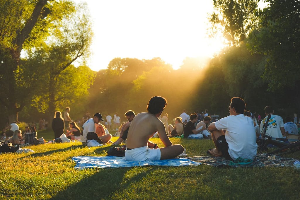 People enjoying a sunny day with picnics in a green park, capturing a relaxed summer vibe.