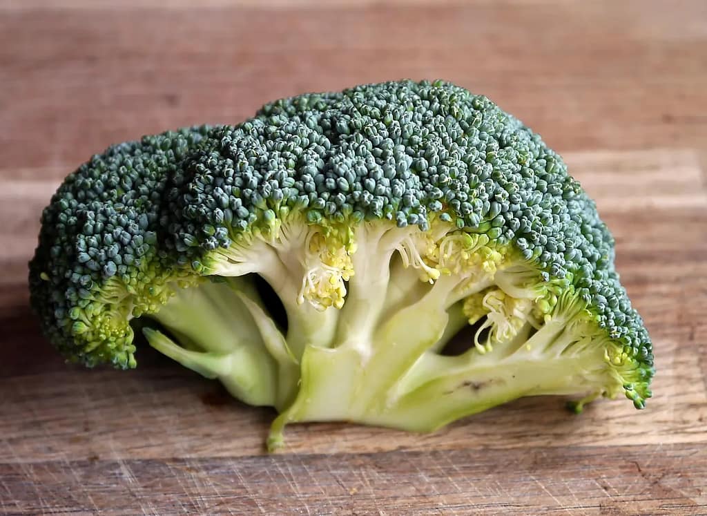 Broccoli on a table-Top 10 Scientifically Proven Cancer-Fighting Foods To Know About