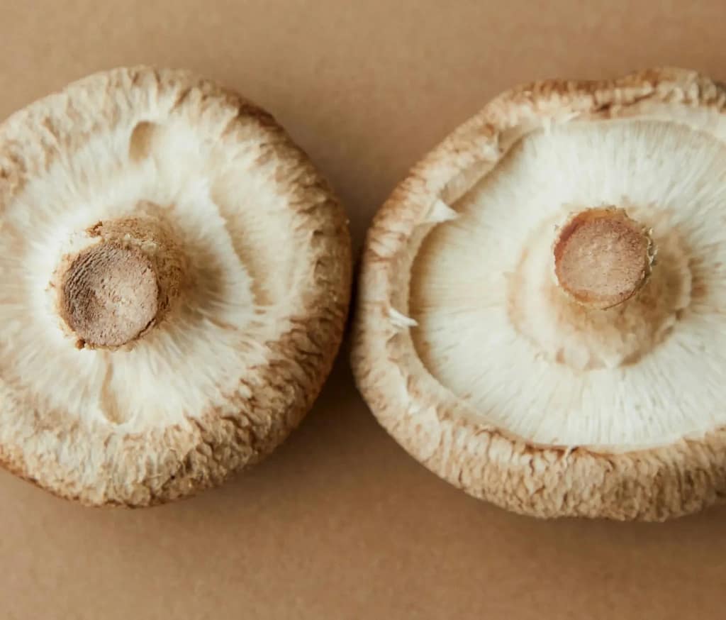 Two fresh mushrooms on a flat surface.