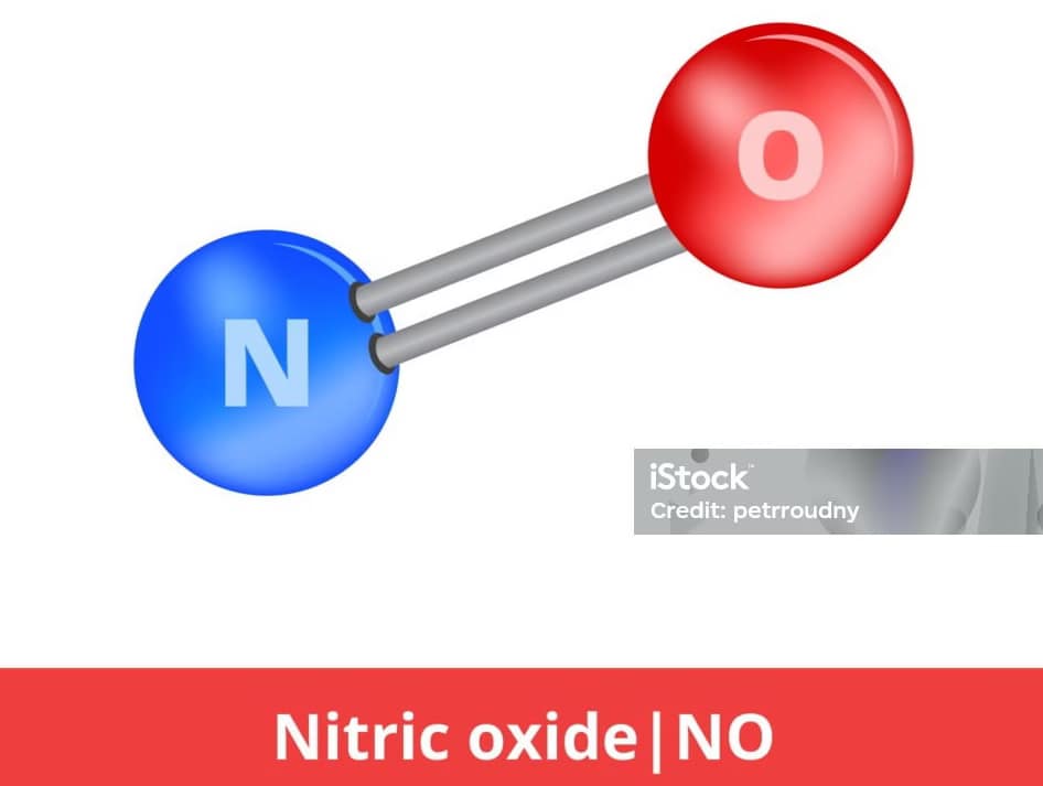 Why Is Nitric Oxide So Important for Healthy Living?